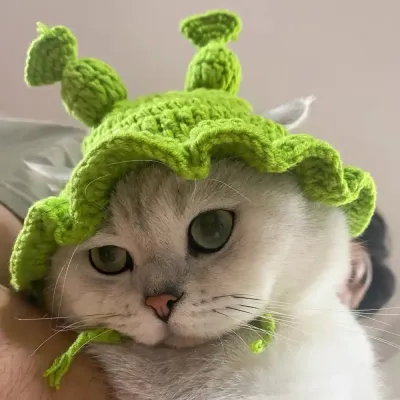 pet Shrek cosplay headpieces (3) Cute Shrek pet headwear, ideal for adding personality and fun to your pet's wardrobe.
