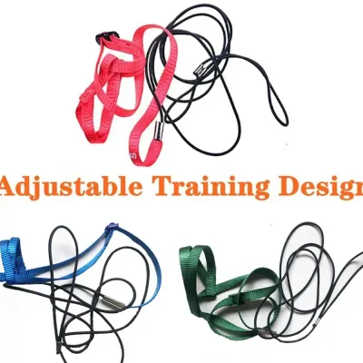 Parrot Bird Harness Parrot Bird Harness