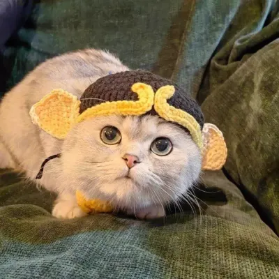 Comfortable, soft crochet yarn Pigsy headpiece for pets, great for extended wear.