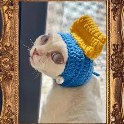 Pet Cosplay Headpiece (3) Featuring a pearl earring girl design, this pet headpiece adds charm and fun to any pet’s wardrobe, making it ideal for cosplay parties or special occasions like Halloween and birthdays.