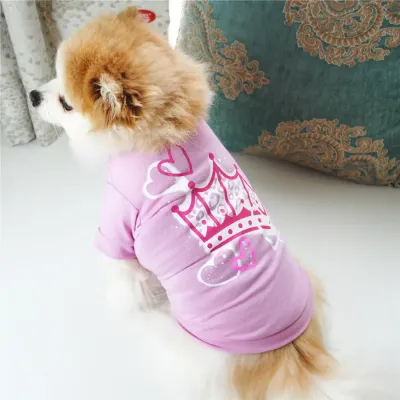 Teddy dog T-shirt daily wear dog T-shirt