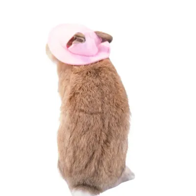 Rabbit Hat, Felt Fabric Sun Hat (7) Comfortable and cute rabbit hat for pets, perfect for dressing up for themed parties and photoshoots.