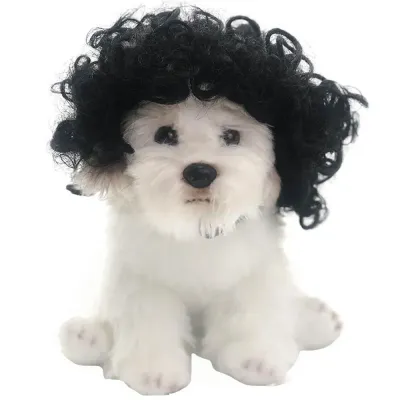 pet wig (3) Afro-style wig for dogs, adjustable and comfortable, great for adding a fun look to your pet.