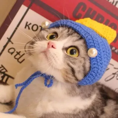 Pet Cosplay Headpiece (2)_1 The lightweight, durable design ensures comfort and breathability for pets, while the soft materials prevent irritation, making it suitable for long-term wear.