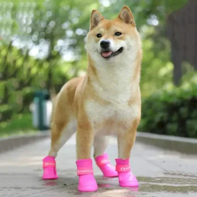 dogs rain boots bulk dogs rain boots bulk