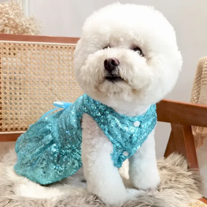 glamorous pet clothing