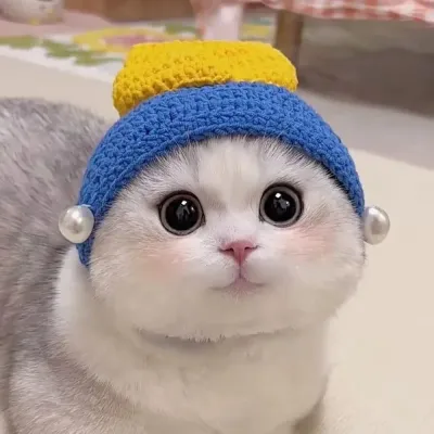 Pet Cosplay Headpiece (6) Pet lovers and cosplay enthusiasts will enjoy dressing up their cats and small dogs with this playful, stylish headpiece, featuring a charming pearl earring girl design.