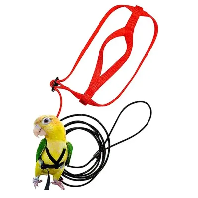 Bird Harness Bird Harness