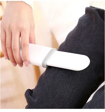 Portable Small Pet Hair Remover Cleaning Brush