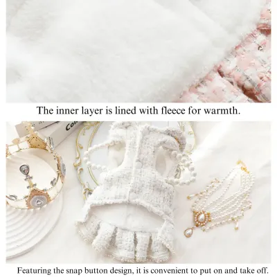 small dog winter fashion