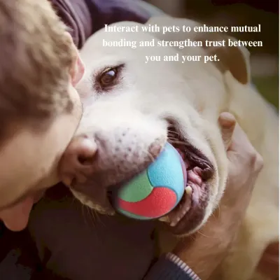 colorful pet ball pet play ball