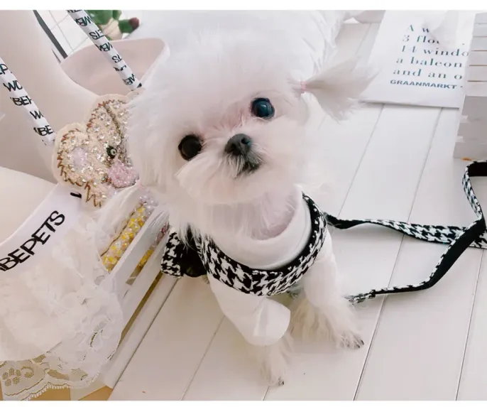 Houndstooth Pattern Dog Harness Vest with Bowknot