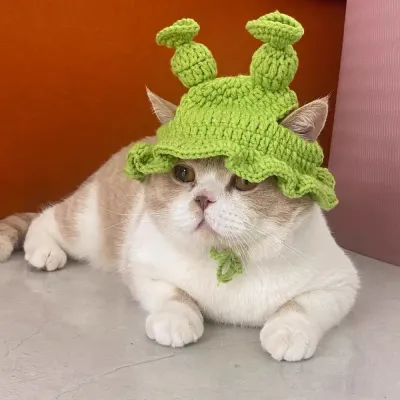 pet Shrek cosplay headpieces (4) Comfortable, soft yarn Shrek headpiece for pets, ensuring no discomfort during wear.