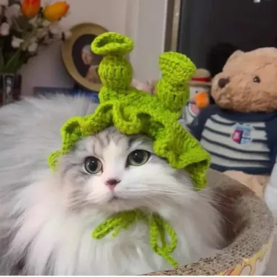 pet Shrek cosplay headpieces (2)_1 Funny and unique Shrek-themed pet accessory, perfect for social media photos.