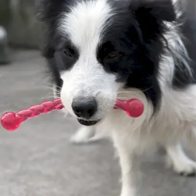 chew toy for large dogs