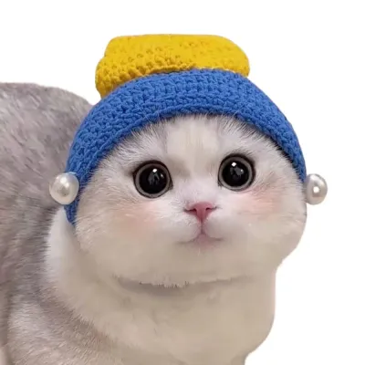 Pet Cosplay Headpiece (1) Transform pets into an adorable pearl earring girl with this handcrafted braided hat cosplay headpiece, perfect for cats and small dogs at themed events or photoshoots.