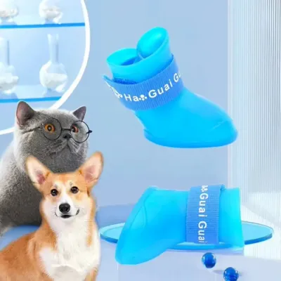 dogs rain boots dogs rain boots