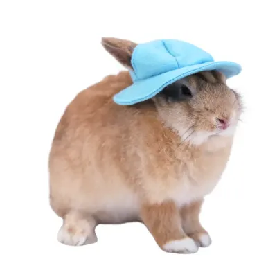 Rabbit Hat, Felt Fabric Sun Hat (9) Easy to Wear and Remove: Simple to put on and take off, ensuring no stress for your pet during dress-up time.