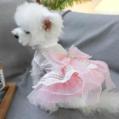 party dress for pets