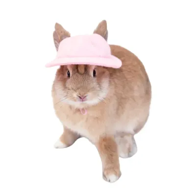Rabbit Hat, Felt Fabric Sun Hat (8) Felt fabric gnome rabbit hat, ideal for pets looking to dress up for Halloween or special occasions.