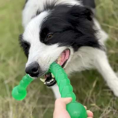 large breed chew toy