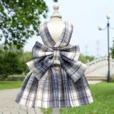 College Style Pet Dress with Large Bowknot
