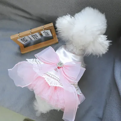 fashionable pet clothing