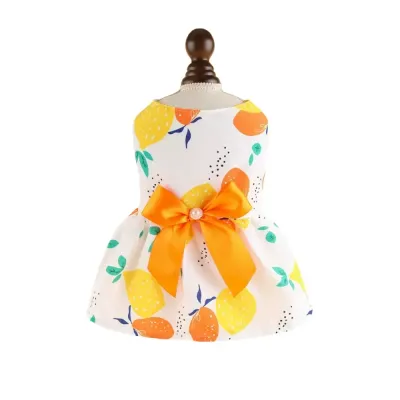 dog clothing for small breeds