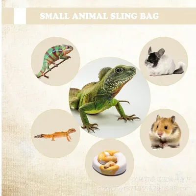 Travel Pet Backpack