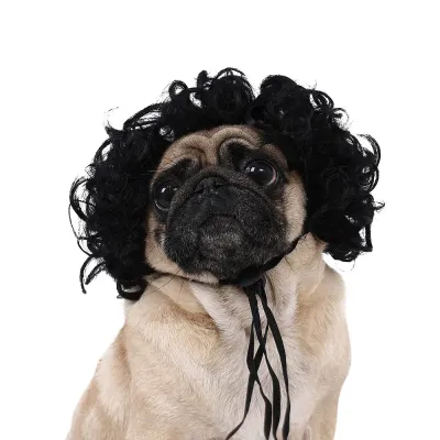 pet wig (1) Adjustable pet wig for dogs, perfect for Halloween, featuring curly or afro-style design.