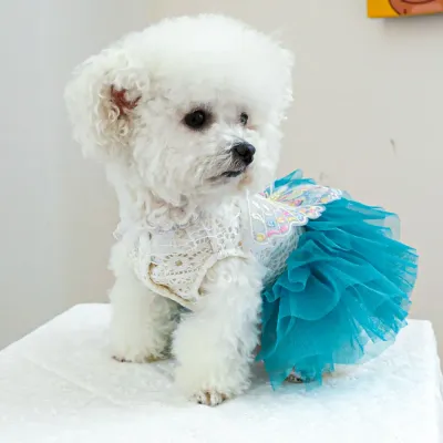 cute dog dress charming dog dress