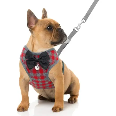 Small Dog Harness and Leash