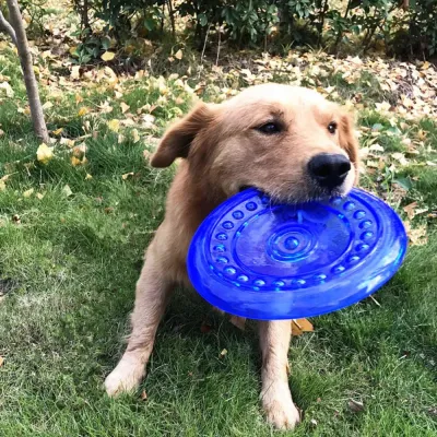 Hot Flying Disc Dog Toy Hot Flying Disc Dog Toy