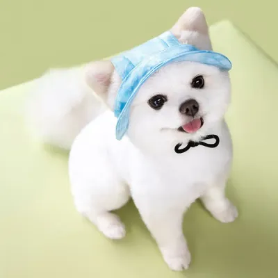 Bulk Cute Dog Hat Bulk Cute Dog Hat