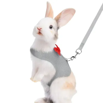 Grey bunnyHarness Leash Set Grey bunnyHarness Leash Set