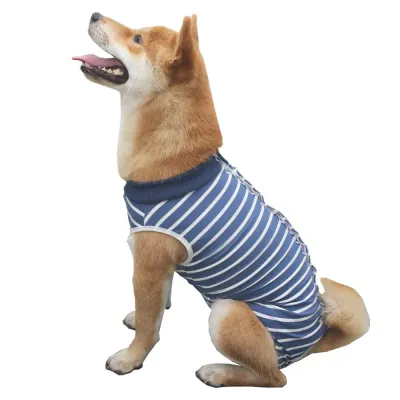 dog clothes wholesale 
