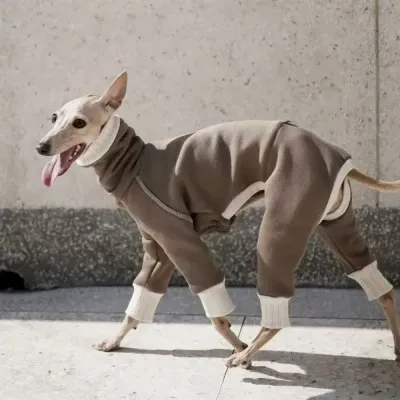 Greyhound Sweatshirt wholesale