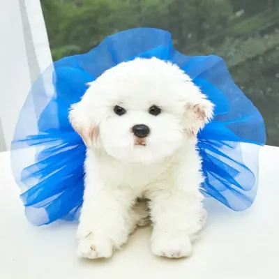 This dog tutu dress features a charming and stylish design, perfect for pet boutiques looking to offer fashionable and eye-catching apparel.