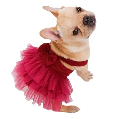 Add a touch of color and festivity to pets apparel collection with this rainbow tutu costume, perfect for Christmas, birthday parties, and special event
