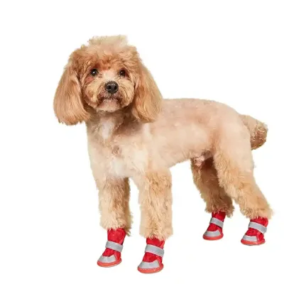 Pet Dog Shoes