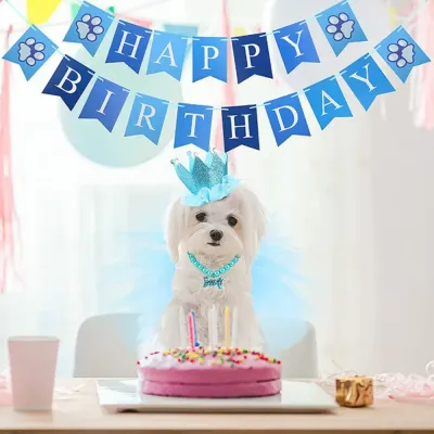 birthday party clothes for dogs (2) This set is easy to dress and offers a secure fit, making it an attractive, hassle-free option for pet owners and a convenient product for retailers.