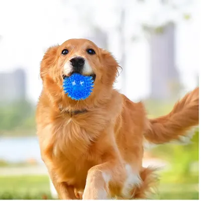 Floating, Bite-Resistant Teeth Cleaning Ball