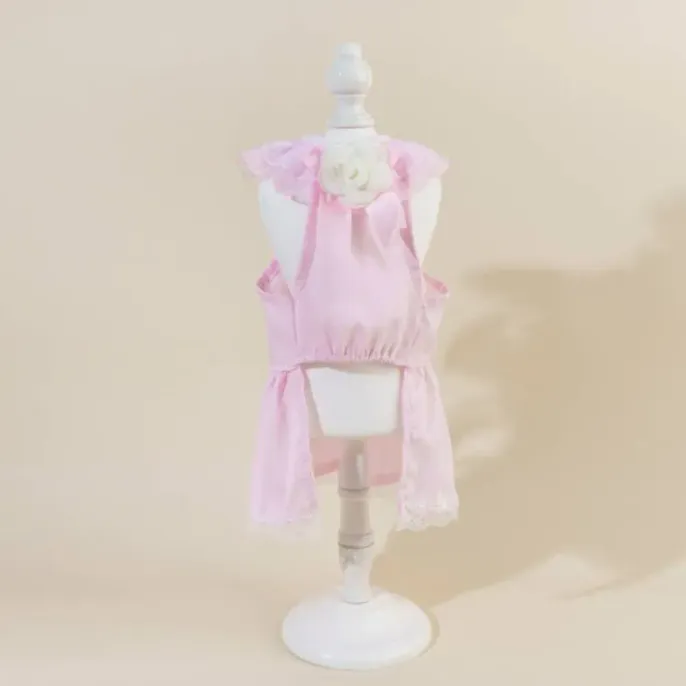 cat apparel for cats (7) Designed for ease of use, this 2-piece set is simple to dress, making it a convenient and stylish option for retailers seeking to offer hassle-free yet fashionable outfits.