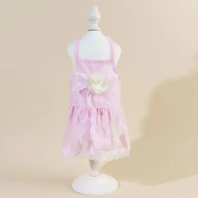 cat apparel for cats (6) Retailers can cater to customers looking for a coordinated and fashionable option for their pets with this 2-piece set, including a dress and matching bow hair clip.