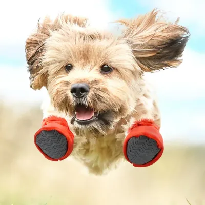 Dog Winter Shoes Waterproof, Anti-Slip, and Warm Soft Sole Pet Boots for Wholesale