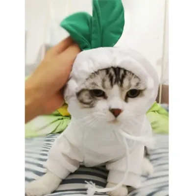 This warm winter cat coat features a cute fruit design, making it both functional and fashionable for small breed pets during the colder months.