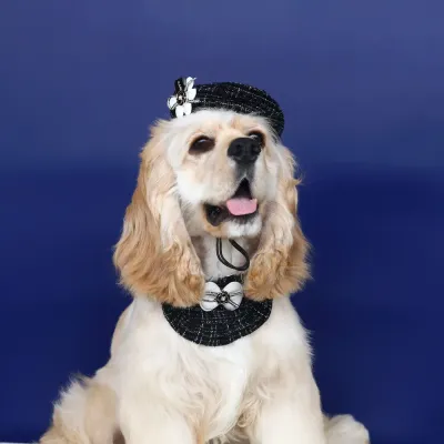 dog hat (1) This cat knitted bib or beret hat with a 3D floral bowknot offers an elegant, stylish accessory for pets, ideal for special occasions or everyday wear.