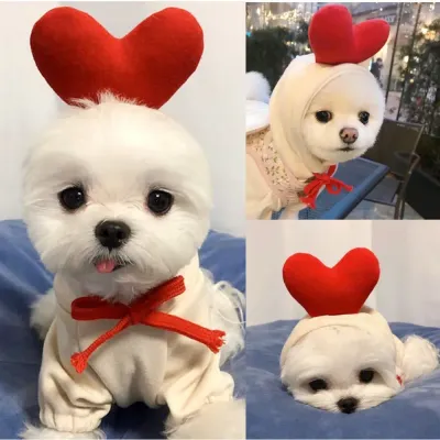 dog hoodie (2) Retailers can offer this adorable Heart-themed pet hoodie to customers looking for stylish and cozy winter apparel for their small pets.