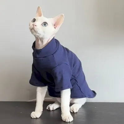 Winter Warm Sweater Winter Warm Sweater for Sphynx Cat