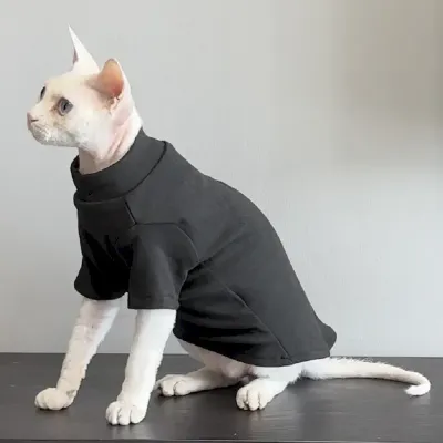 Winter Warm Sweater Winter Warm Sweater for Sphynx Cat